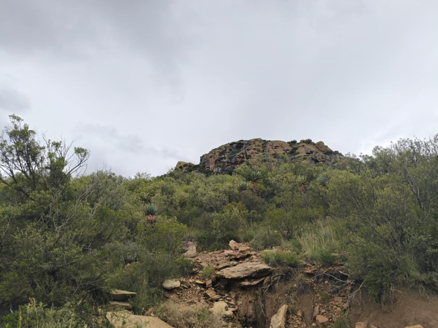 0 Bedroom Property for Sale in Jamestown Eastern Cape